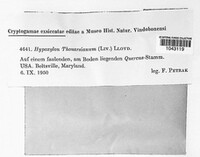 Image Associated With the Occurence